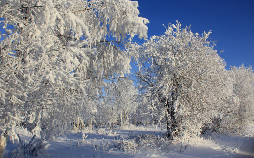 505984 (a): :2560x1600